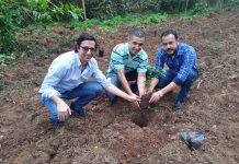 EM DIA COM O MEIO AMBIENTE