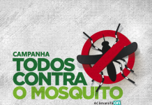 CÂMARA EM COMBATE À DENGUE