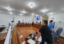 RESUMO DA 5ª REUNIÃO ORDINÁRIA DE 2024