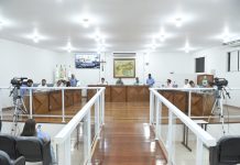 RESUMO DA 36ª REUNIÃO ORDINÁRIA DE 2024