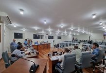 RESUMO DA 9ª AUDIÊNCIA PÚBLICA E DA 42ª REUNIÃO ORDINÁRIA DE 2024