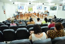 CARNAVAL 2025 É TEMA DE AUDIÊNCIA PÚBLICA