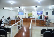 RESUMO DA 11ª REUNIÃO ORDINÁRIA DE 2025