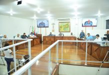 RESUMO DA 12ª REUNIÃO ORDINÁRIA DE 2025