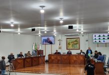 RESUMO DA 22ª REUNIÃO ORDINÁRIA DE 2025