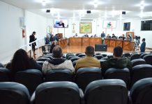 RESUMO DA 28ª REUNIÃO ORDINÁRIA DE 2025