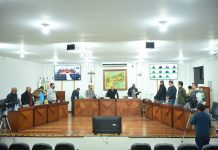 RESUMO DA 29ª REUNIÃO ORDINÁRIA DE 2025