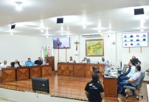 RESUMO DA 11ª AUDIÊNCIA PÚBLICA E DA 37ª REUNIÃO ORDINÁRIA DE 2025