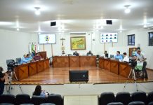 RESUMO DA 46ª REUNIÃO ORDINÁRIA DE 2025